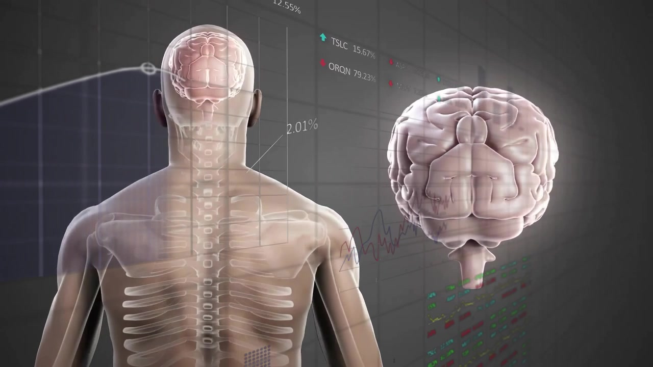 Animação Médica 3D da Anatomia do Cérebro Humano e Análise de Dados