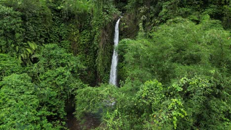 a hidden waterfall located in the east of bali in the depths of jungle, aerial