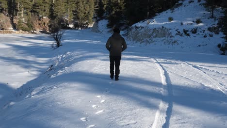 Gehen-Sie-Auf-Einem-Verschneiten-Waldweg