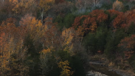 Arroyo-A-Través-De-árboles-De-Otoño-En-El-Bosque-Cerca-De-Cedar-Flats-En-Banyard,-Arkansas,-Estados-Unidos