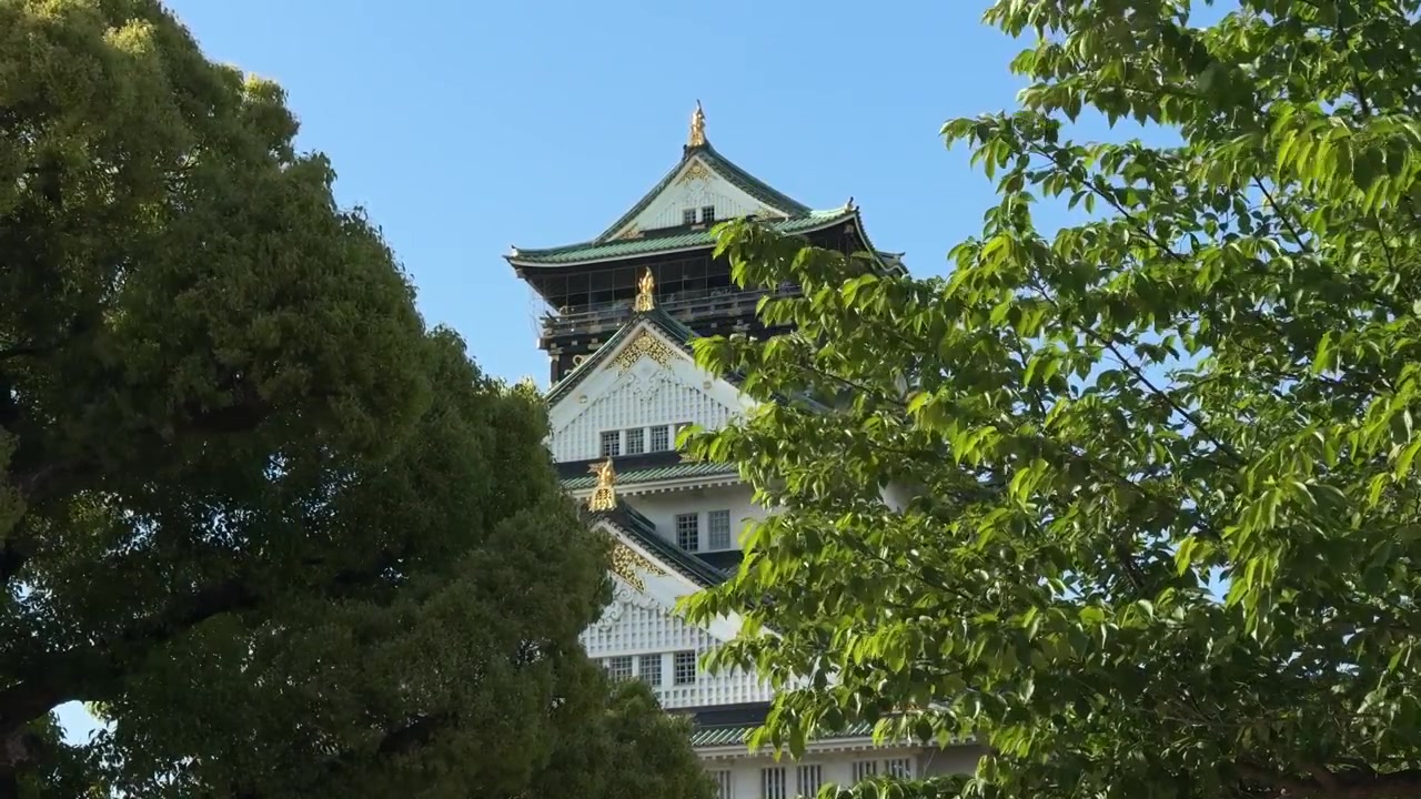 Castello di Osaka incorniciato da alberi verdi, monumento simbolo di Osaka, Giappone