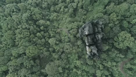 aerial birds eye view shot of a beautiful tropical forest in nature