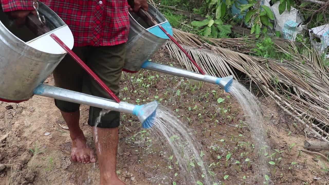 un hombre descalzo caminando en un campo cultivado en camboya y mojando las plantas con dos latas de agua