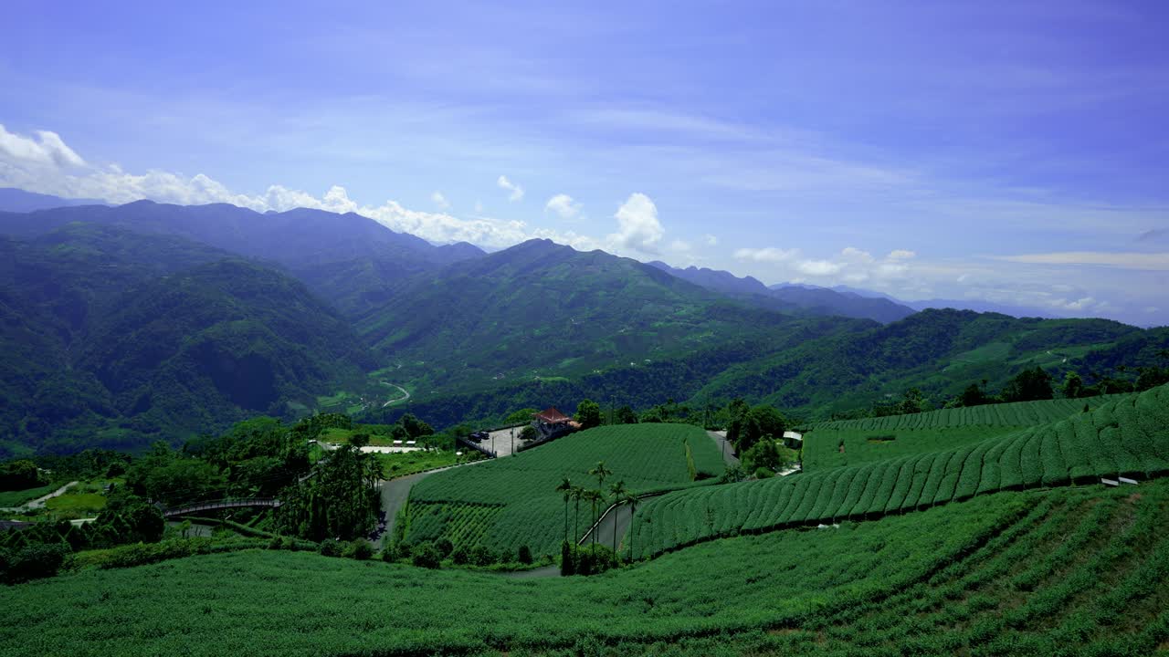 las plantaciones de té en la cima de la colina a menudo están envueltas en nubes y niebla.