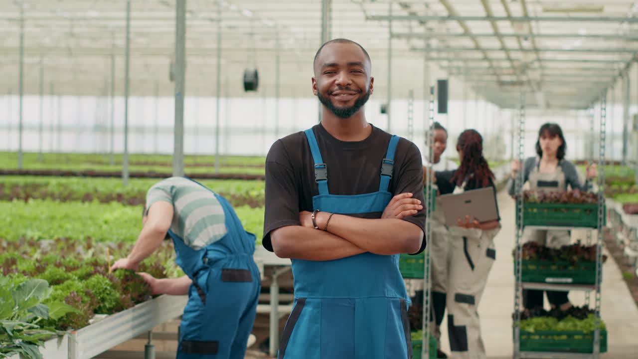Group of farmers working in greenhouse
