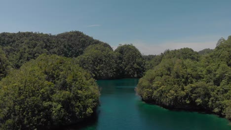 Schöne-Luftdrohne-über-Dem-Naturpark-Sohoton-Auf-Der-Insel-Siargao-Auf-Den-Philippinen