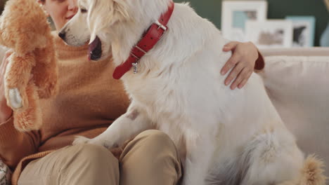 woman playing with her dog and teddy bear on the couch