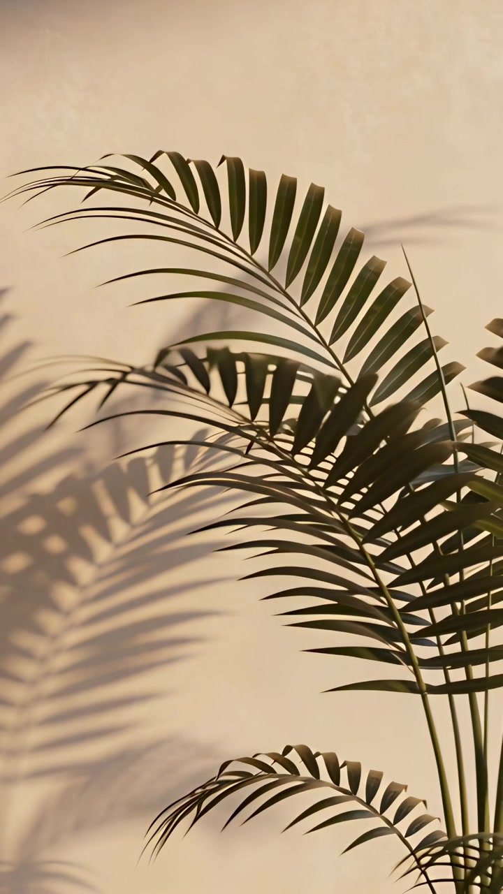 Vertical video: Swaying tall palm moving from breeze at home, casting leaf shadows, copy space