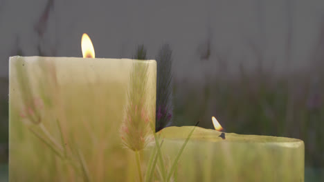 animation of lit candles over meadow and grass