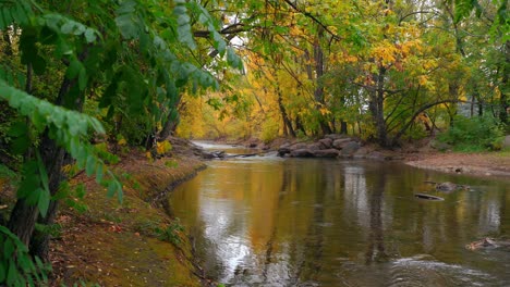 Follaje-De-Otoño-En-El-Boulder-Creek,-Canto-Rodado,-Co,-Estados-Unidos