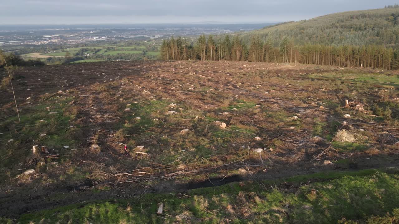 tiro de drone de deforestación en una colina en dublín, irlanda