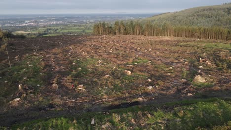 Drohnenaufnahme-Der-Abholzung-Auf-Einem-Hügel-In-Dublin,-Irland