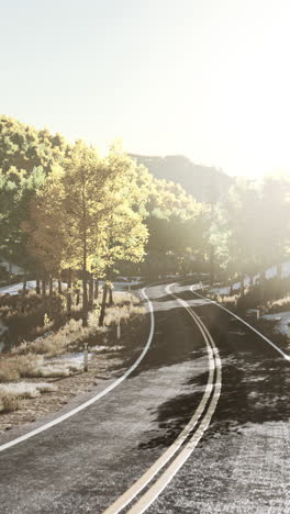 a winding road through a forest with a sunrise in the background