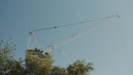 Una-Grúa-Se-Mueve-Por-El-Cielo-Con-Las-Ramas-De-Un-árbol-En-Primer-Plano