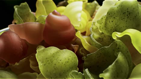 assorted colorful pasta