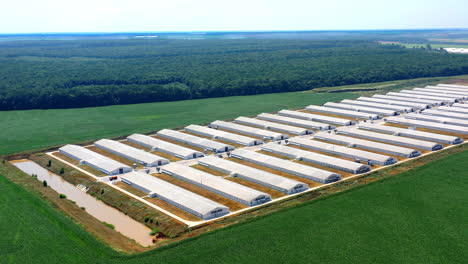 white farm buildings on field. farming business territory near green field. modern agriculture surrounded by beautiful summer nature at day time. aerial view.