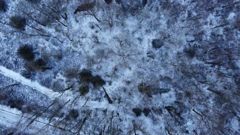 Vista-De-Pájaro-De-Los-Bosques-De-Invierno-Inglés-Cubiertos-De-Nieve-Sobrecarga-Caducifolia