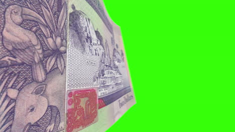 close-up of belize two dollar banknote on green screen