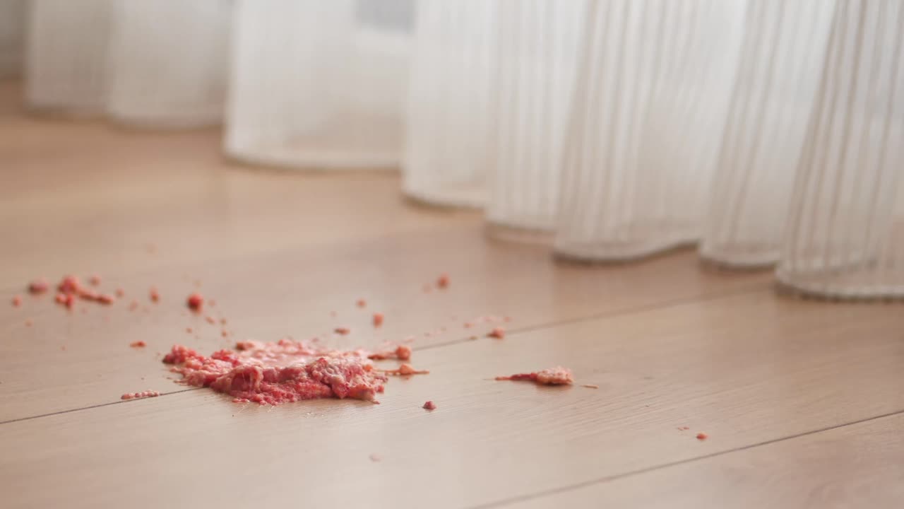 나무 바닥에 흘린 케이크