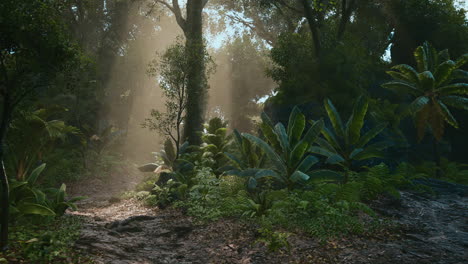 sunlight filtering through trees in a lush tropical forest at midday