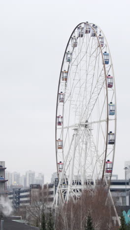 ferris wheel in a city