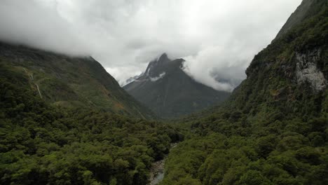 Aerial-of-breathtaking-nature,-native-forest-and-mountain-peaks,-foggy-morning,-Fiordland,-New-Zealand