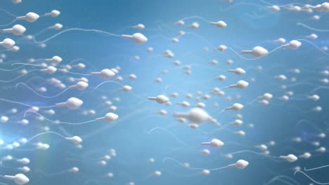 óvulo-En-Movimiento-Siendo-Fertilizado-Por-El-Espermatozoide