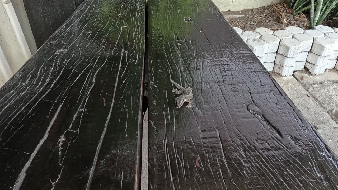 도마은 은 나무판을 가로질러 움직입니다.