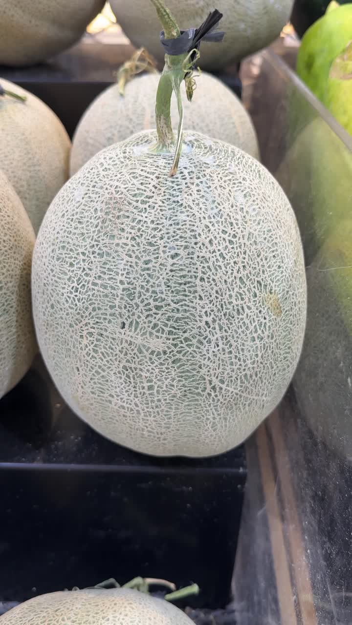 Fresh Cantaloupe Melons on Display in a Store