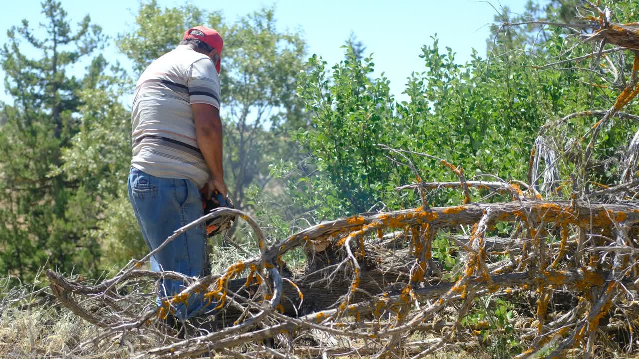 agricultor de aldeia a cortar árvores