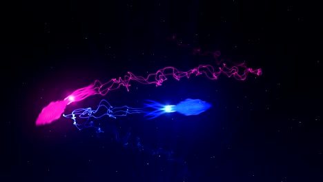 calamar iluminado con luz de color en el agua, animación cg, bucle