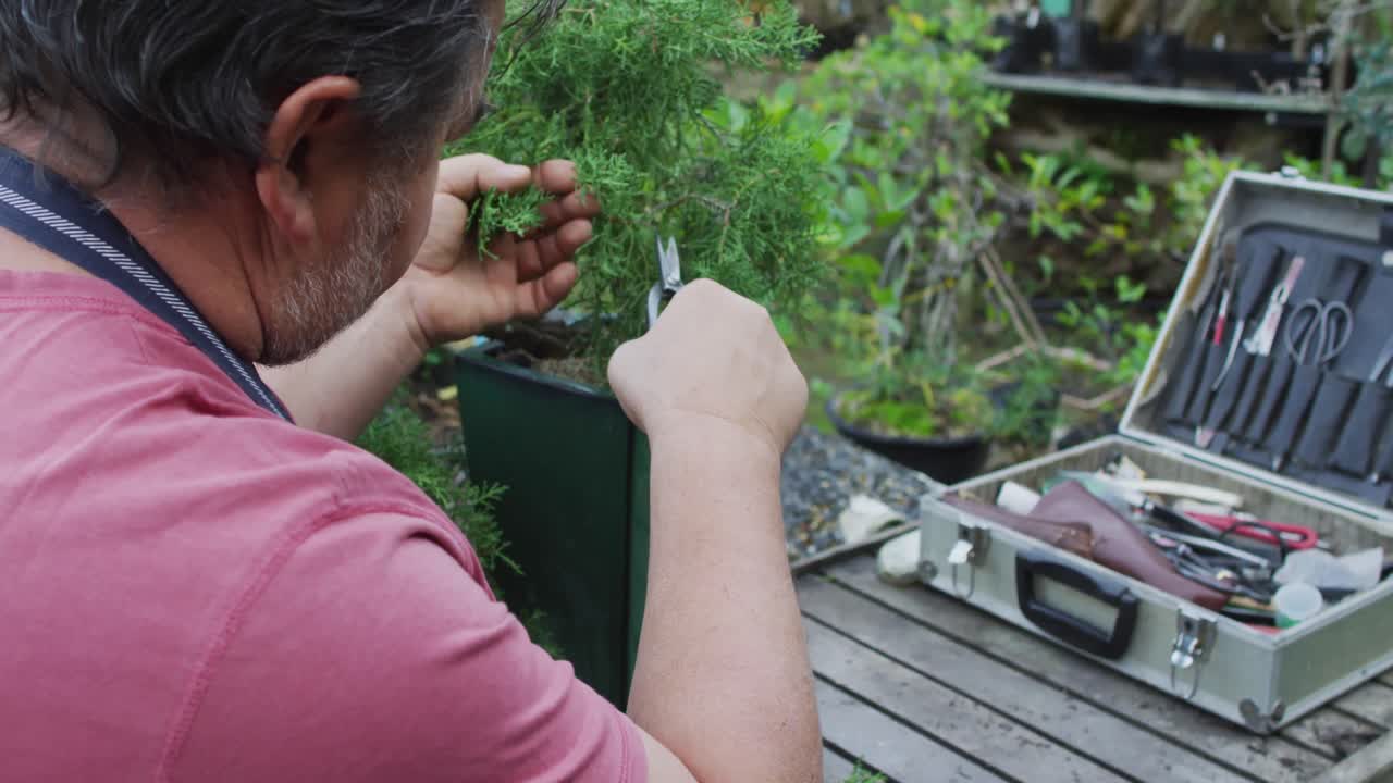 정원 센터에서 봉사이 나무를 자르는 백인 남성 정원사 의 뒷면