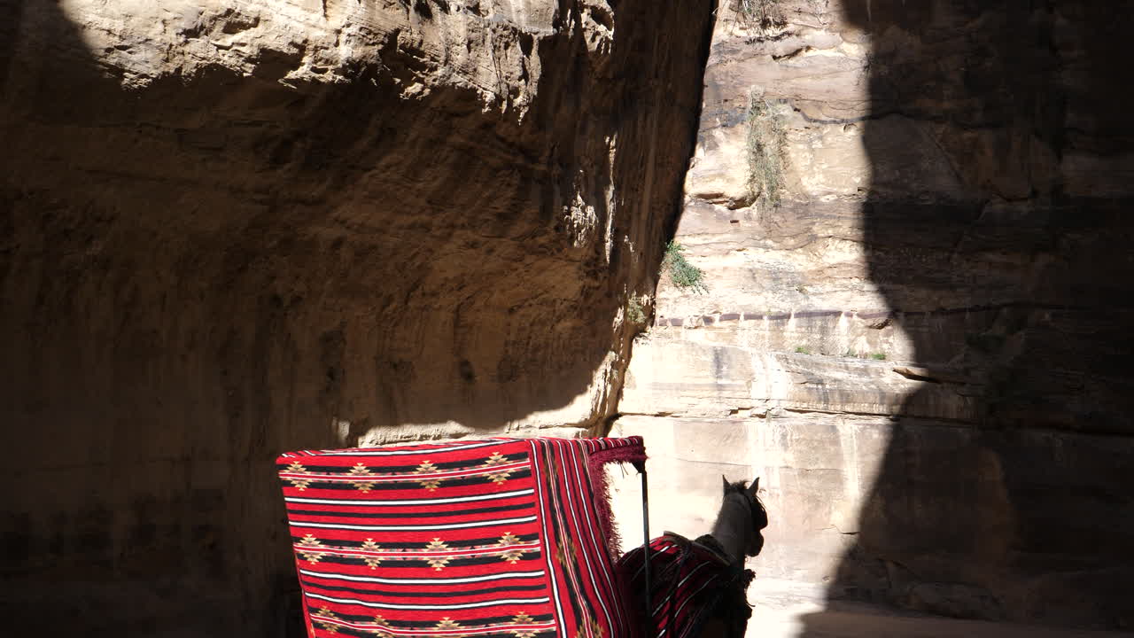 árabes estilo elegante carruaje tirado por caballos conduciendo rápido dentro del cañón siq en petra, patrimonio mundial de la unesco jordan