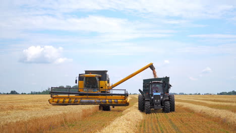 grain harvesting equipment in the field. harvest time. agricultural sector