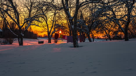 Static-view-of-snow-covered-trees-and-white-ground-along-rural-landscape-during-evening-time-in-timelapse