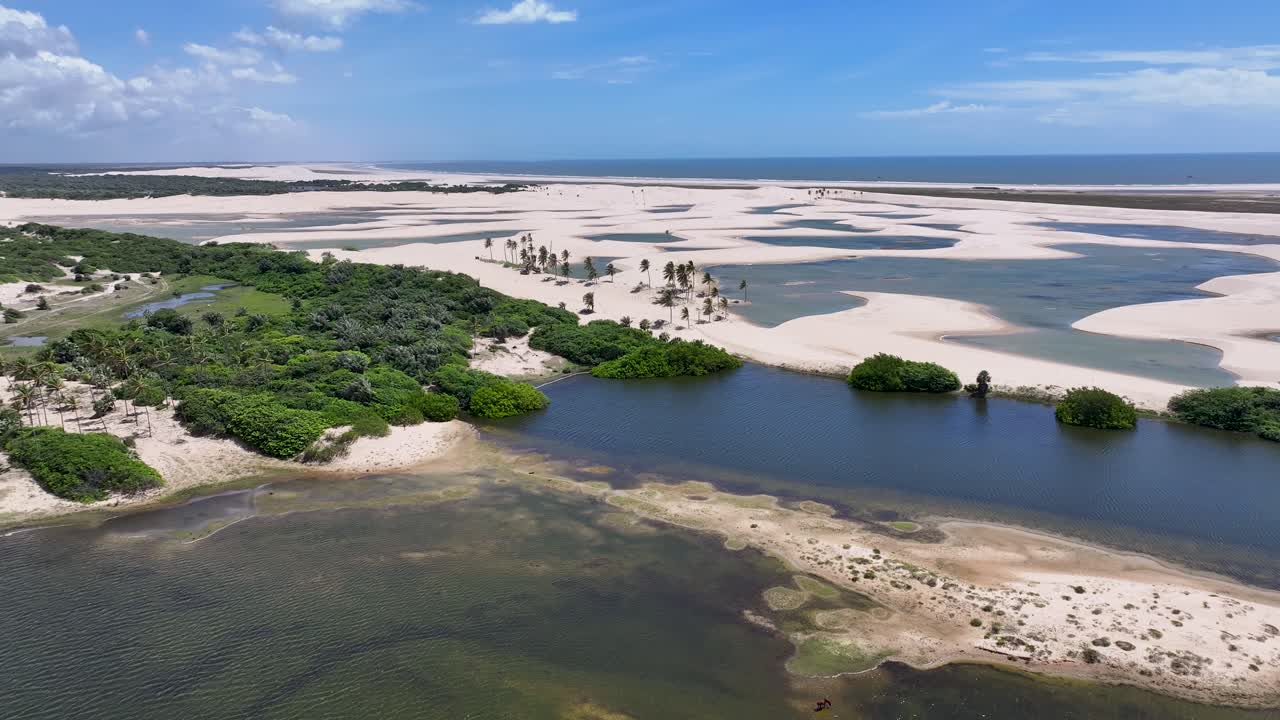 Lençóis Maranhenses ved Tutoia i Maranhão, Brasilien. Små naturelementer. Smukke palmetræer. Lençóis Maranhenses ved Tutoia. Snoede sandklitter. Regnvandssøer. Tropisk rejse. Det nordøstlige Brasilien.