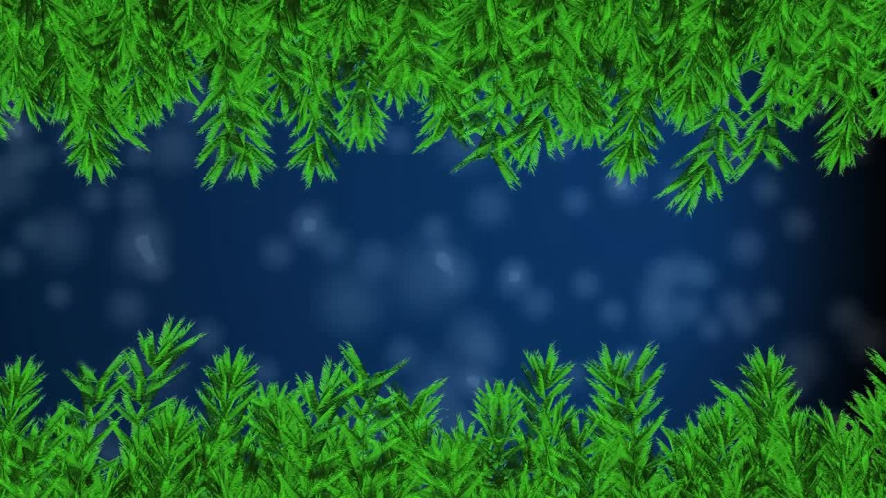 Animation of christmas tree branches over falling snow