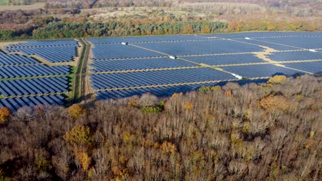 Solarpark-In-Großbritannien-Mit-Herbstlichen-Bäumen-Im-Vordergrund-Dolly-Nach-Vorne-Schwenken-Rechts