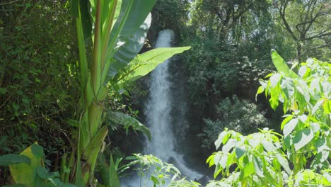 Stabilized-shot-of-a-waterfall-with-a-lot-of-vegetation