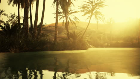 colorful scene with a palm tree over a small pond in a desert oasis