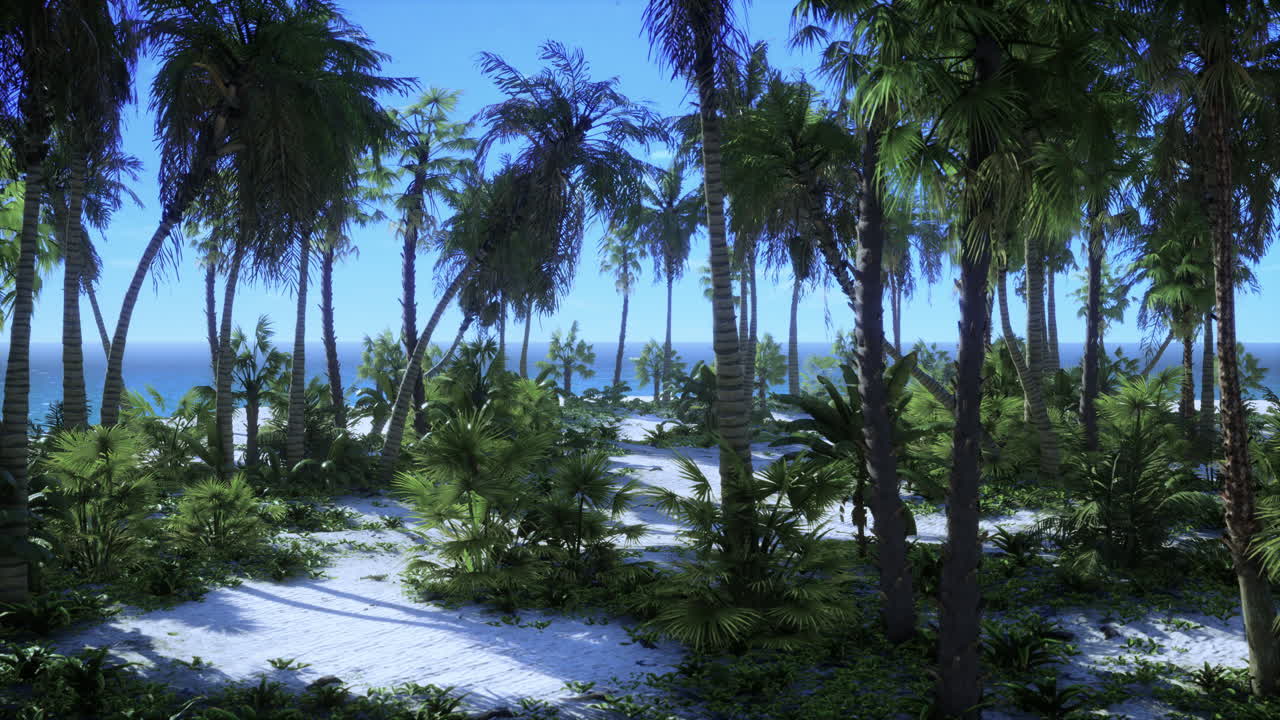 해변 에 종려나무 가 있는 사막 섬