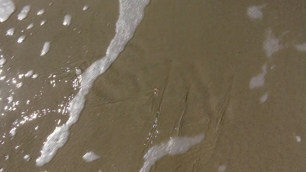 해변의 생수로 죄가 씻겨지고 용서됨