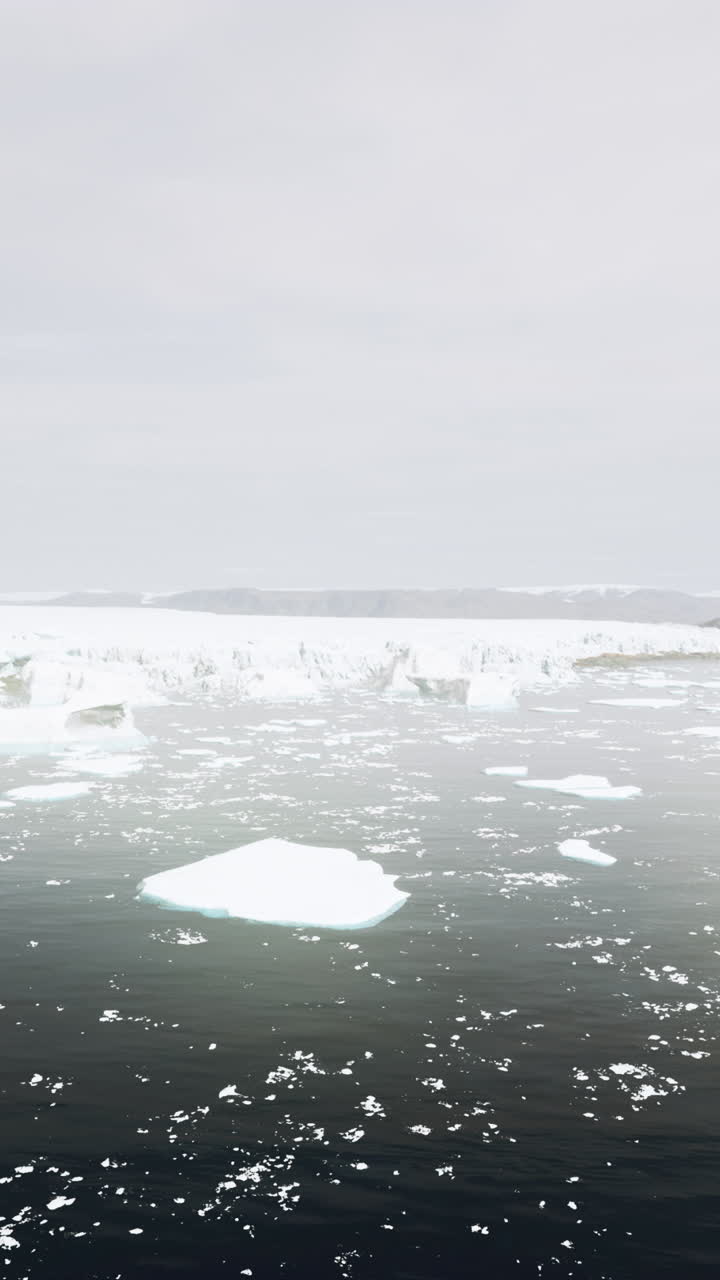 북극과 남극의 빙산들의 놀라운 공중 풍경