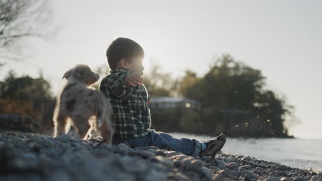 a purposeful boy of two years throws a stone into the sea. rear view, slow motion video