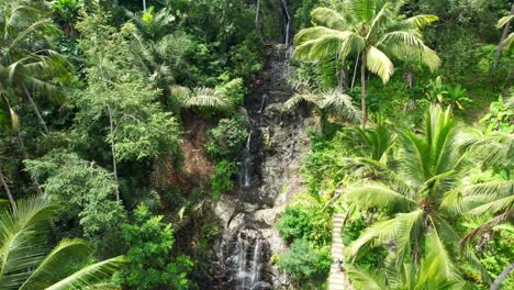 people swim in natural rock jungle pools at gembleng waterfall in sidemen bali, aerial ascending