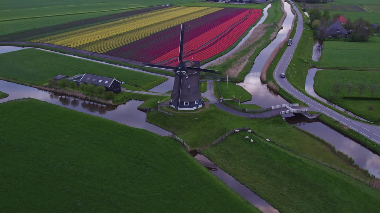 Vista aerea di Heerhugowaard con Veenhuizer, mulino a vento, tulipani, che mostra un ampio paesaggio rurale nei Paesi Bassi