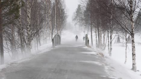 un hombre camina por un camino campestre en una tormenta de nieve blanca y un fuerte viento cortante