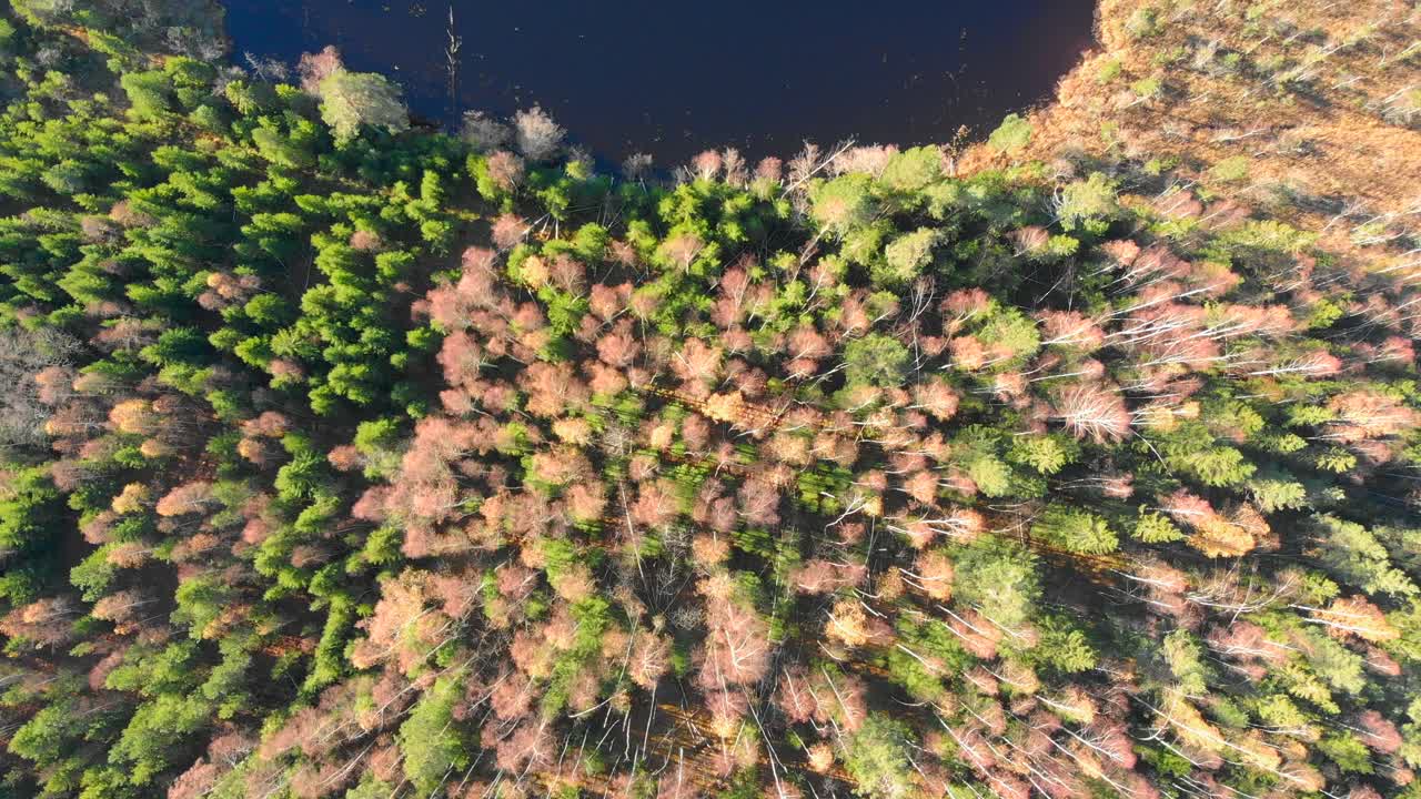 imágenes de drones, parte superior