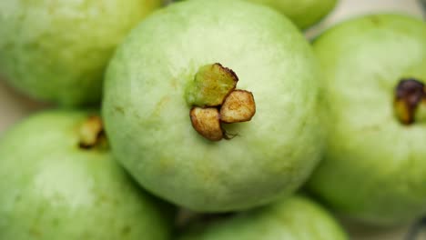 close-up of fresh green guavas