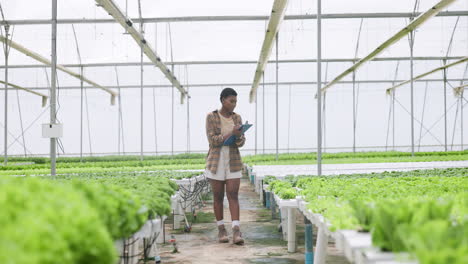 Greenhouse,-nursery-and-woman-in-garden